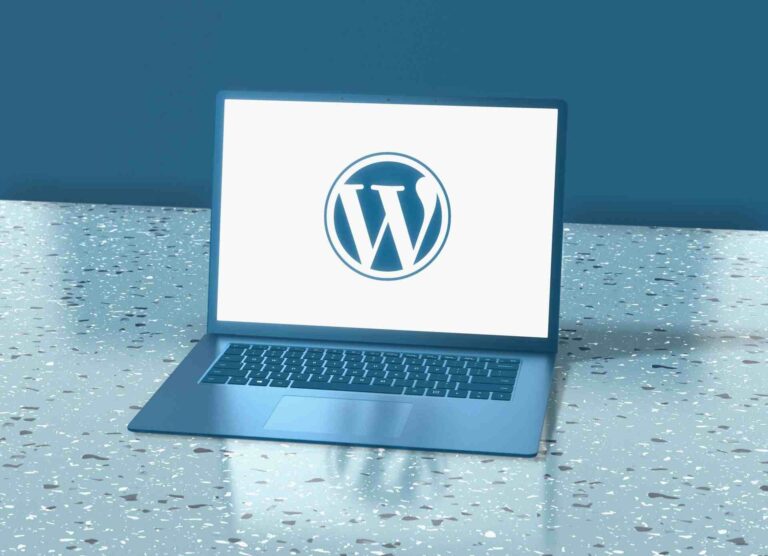 Developer WordPress Themes to Building Professional Websites